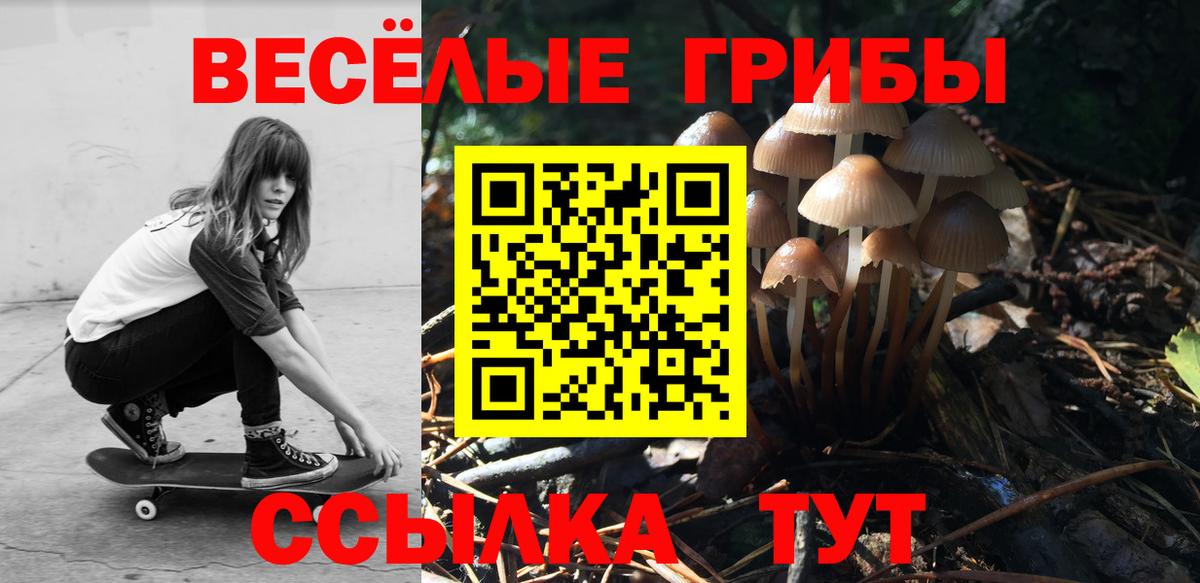 Псилоцибиновые грибы мицелий  Вход с VPN  Гусев 